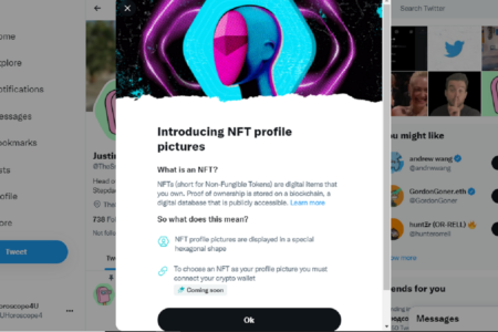 Twitter разрешил некоторым пользователям ставить NFT-изображения на фото профиля. Илон Маск — не в восторге